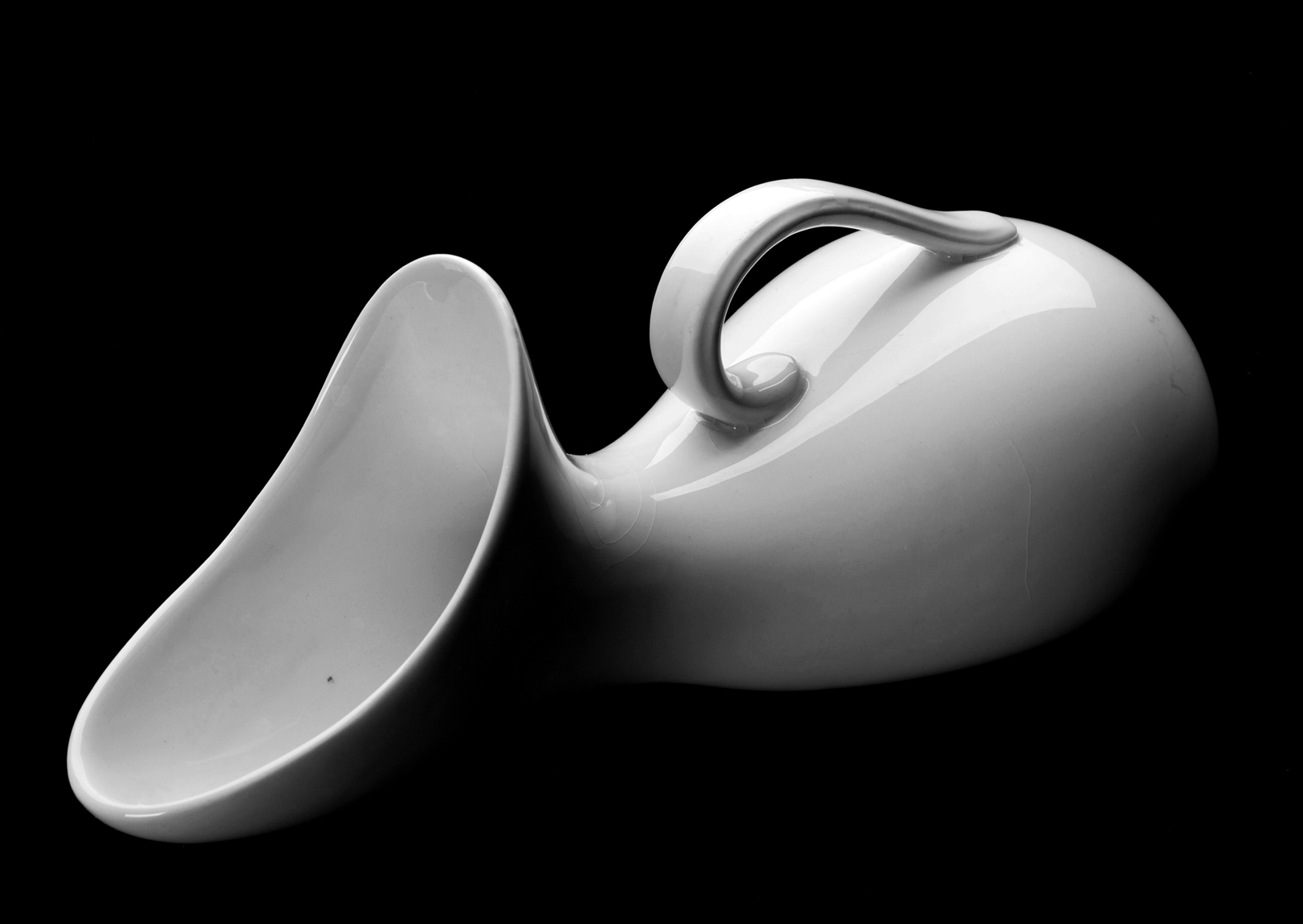 Bathroom Reading Literary Review of Canada