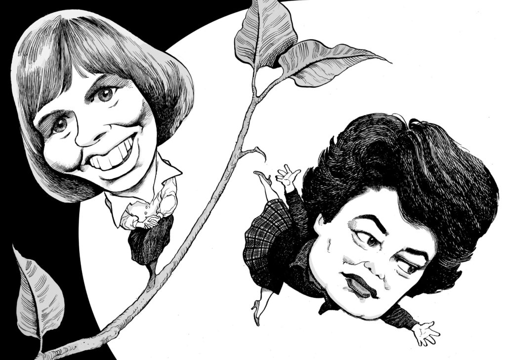 Illustration by David Parkins for J. R. Patterson’s January | February 2025 review of two books on Carol Shields and Mavis Gallant.