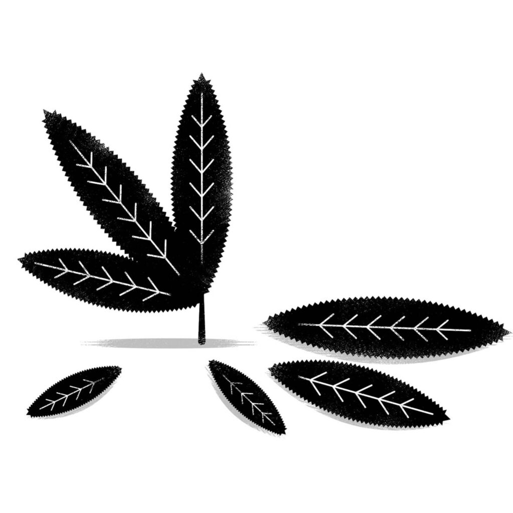 Illustration by Matthew Daley for Jeffrey David’s November 2025 review of “Catch a Fire” by Ben Kaplan.