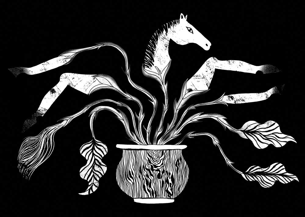 An illustration by Natàlia Pàmies Lluís for Tomas Hachard’s March 2026 review of “Diving Board” by Tomás Downey.