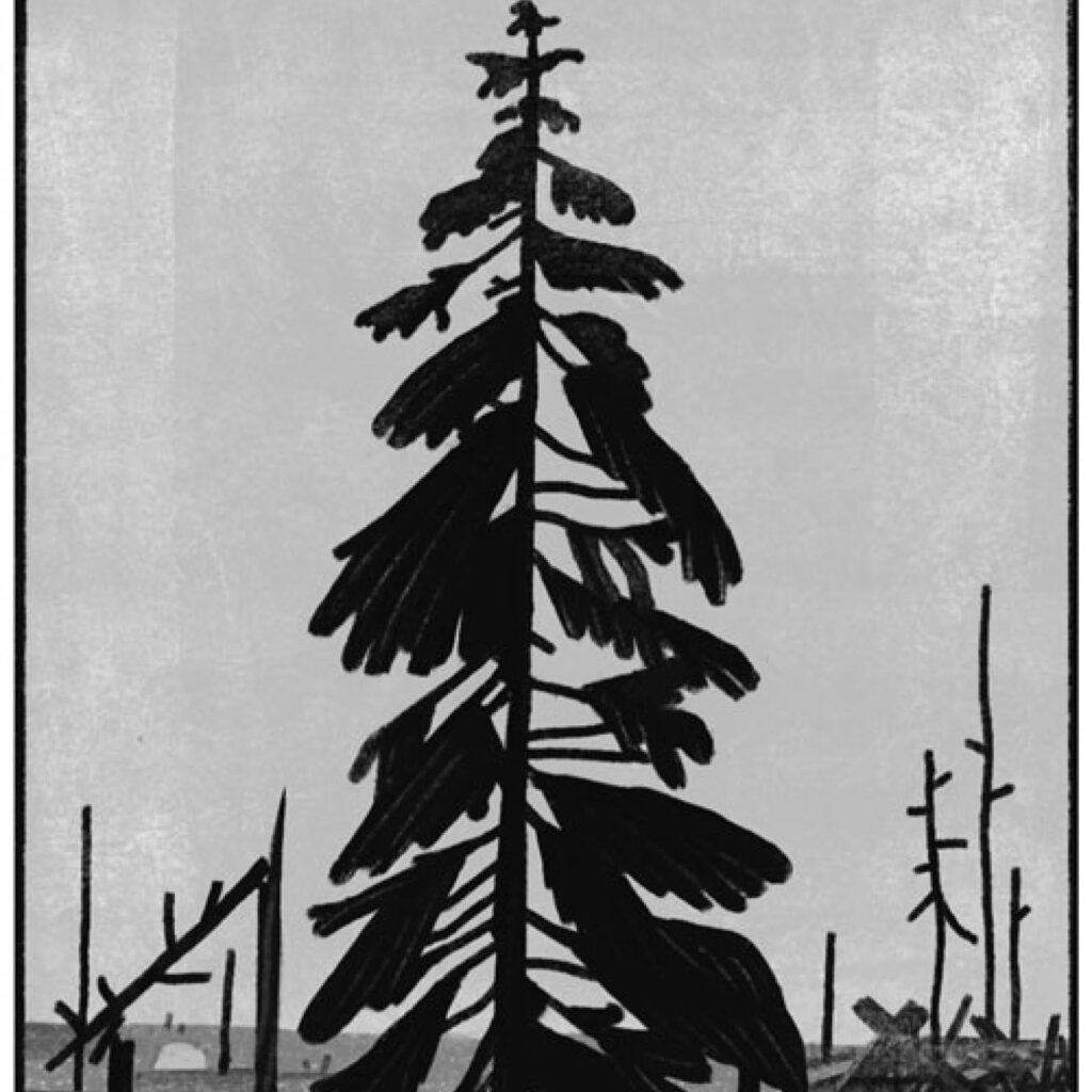 An illustration by Sarah Farquhar for Bob Armstrong’s July/August 2026 reviews of “Northern Girls,” by Michelle Willms and “Black Bear,” by Trina Moyles.