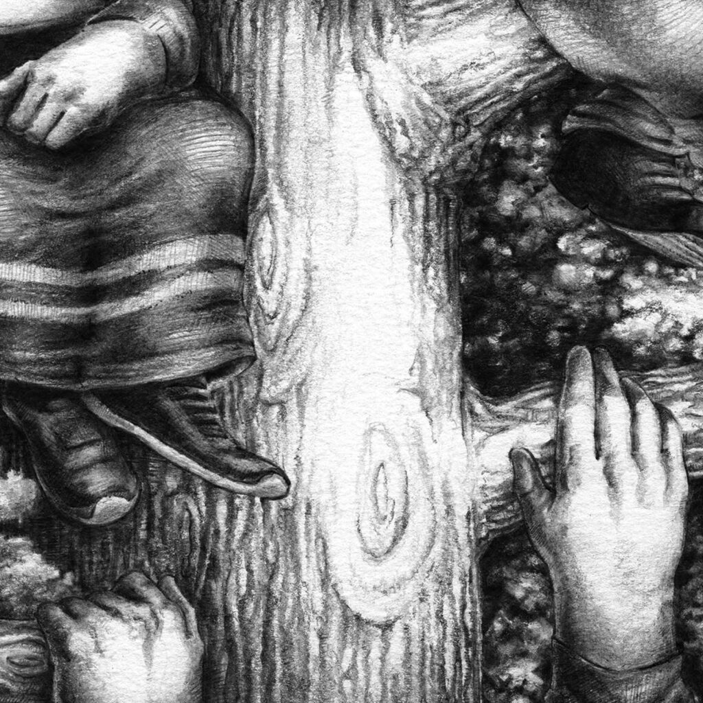 An illustration by Scott Shields for Ian Canon’s November 2026 essay “Through the Branches.”