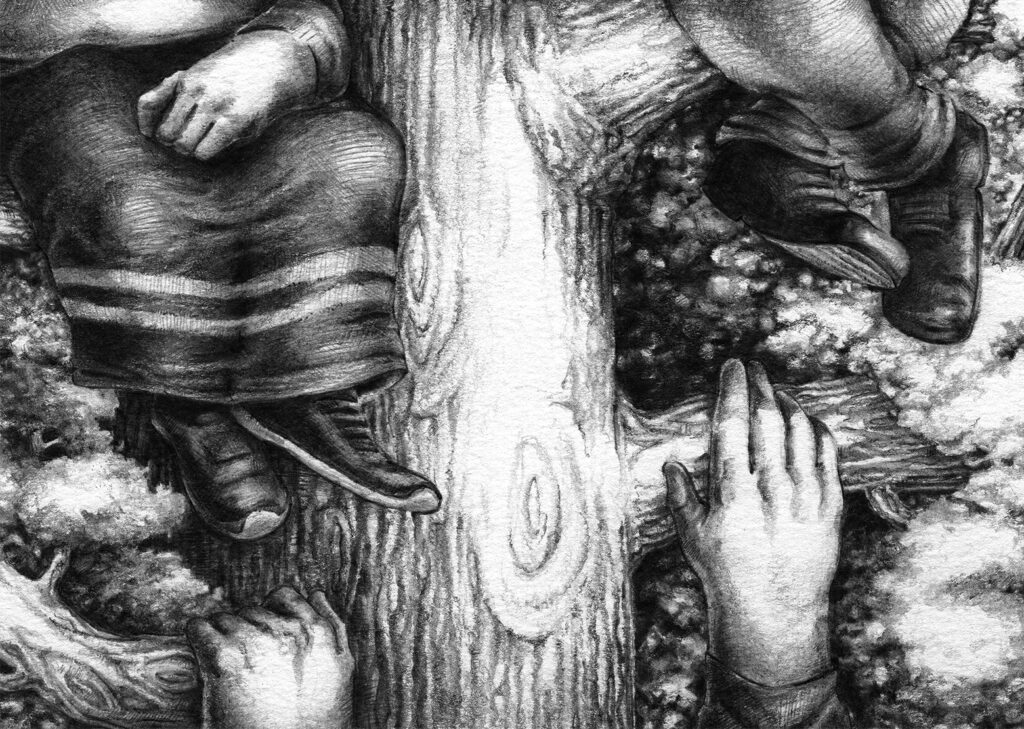 An illustration by Scott Shields for Ian Canon’s November 2026 essay “Through the Branches.”