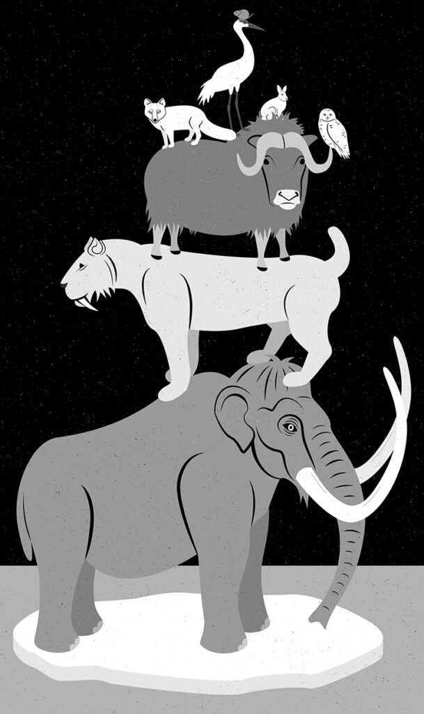 An illustration by Blair Kelly for Dan Falk’s November 2026 review of “Animal Diaspora,” by Edward Struzik.